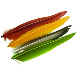 Plumas de Pato teñidas Baetis